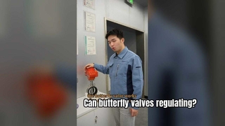 Bir kelebek topu akışı kontrol edebilir mi? Tehlikeli Alanlar İçin Patlamaya Dayanıklı Vana